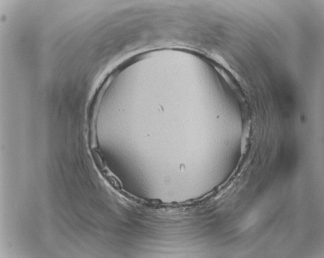 X0000069391508200606021619