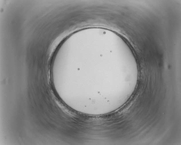 X0000069391511200606021619