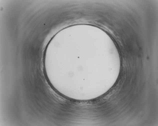 X0000069391512200606021619