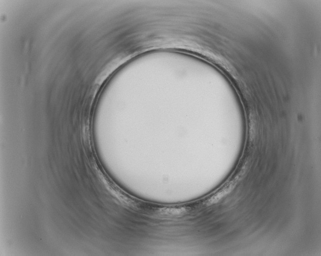 X0000069391513200606021619