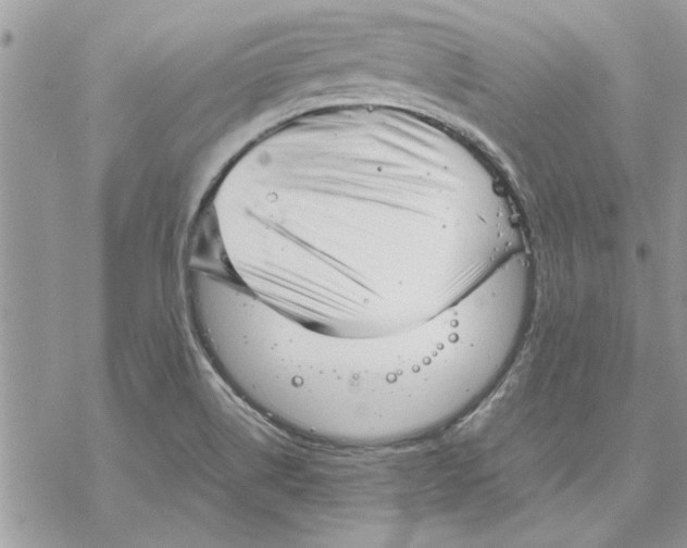 X0000069391514200606021619