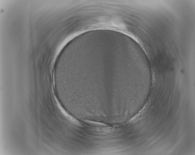 X0000069391515200606021619