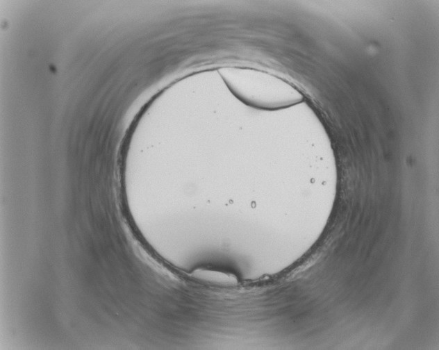 X0000069391518200606021619