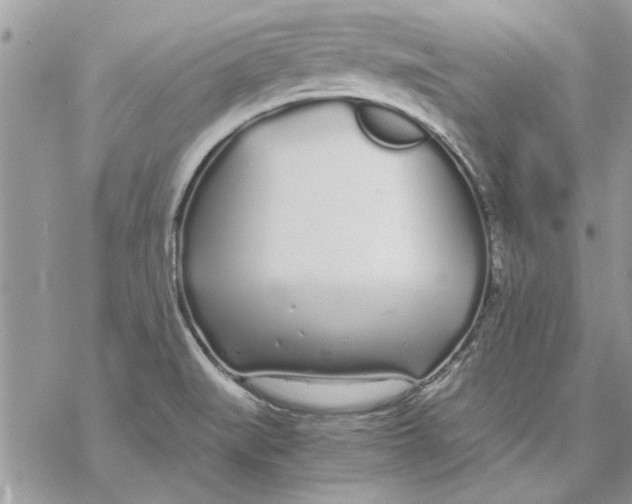 X0000069391519200606021619