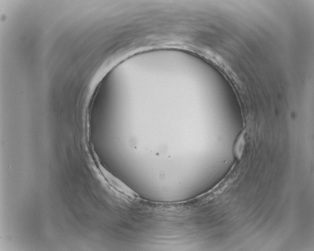 X0000069391520200606021619