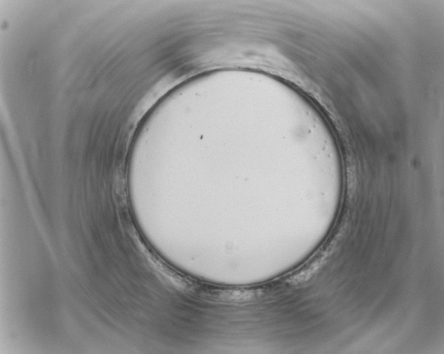 X0000069391521200606021619