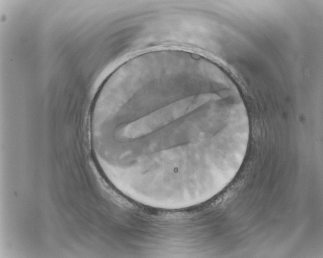 X0000069391522200606021619