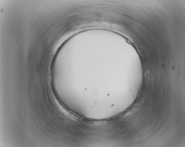 X0000069391523200606021619