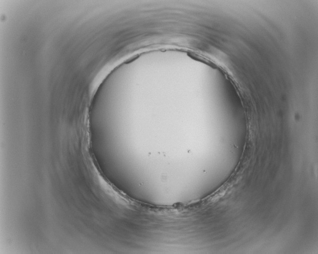 X0000069391524200606021619