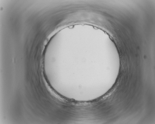 X0000069391526200606021619