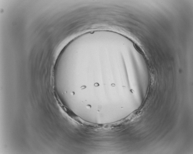 X0000069391527200606021619