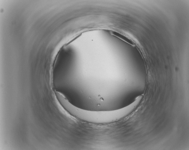 X0000069391528200606021619