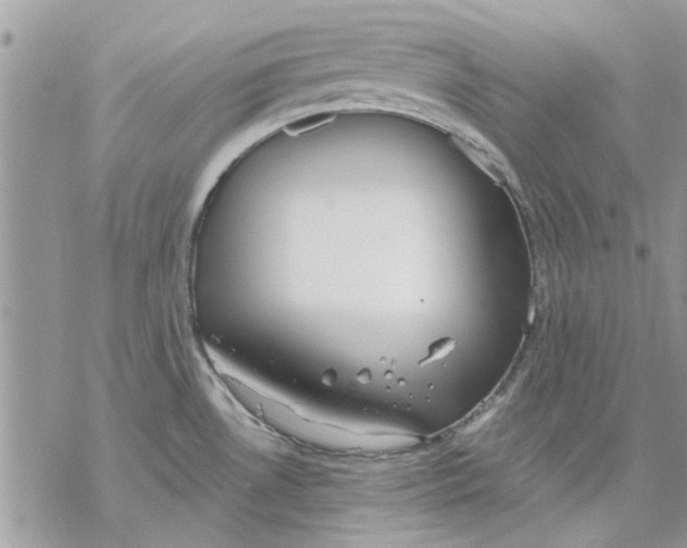 X0000069391530200606021619