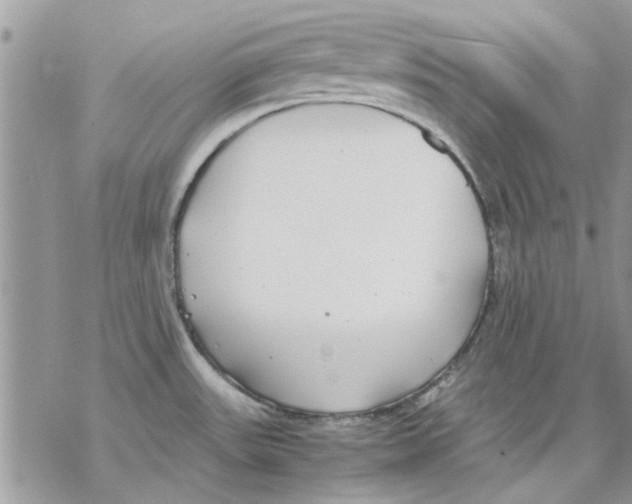 X0000069391531200606021619