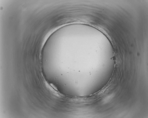 X0000069391532200606021619