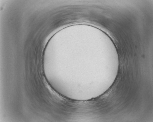 X0000069391534200606021619