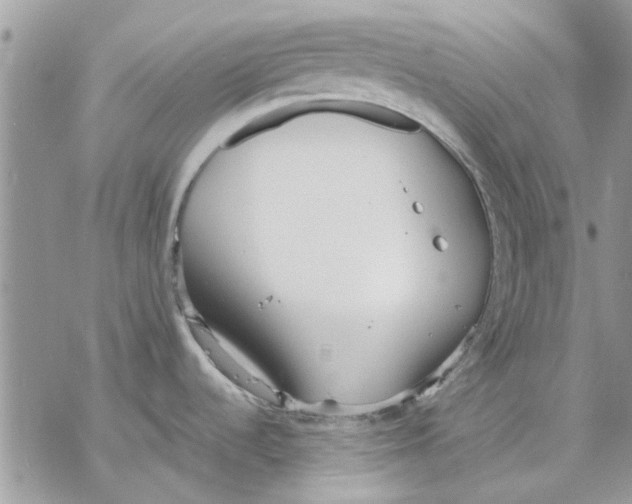 X0000069391536200606021619