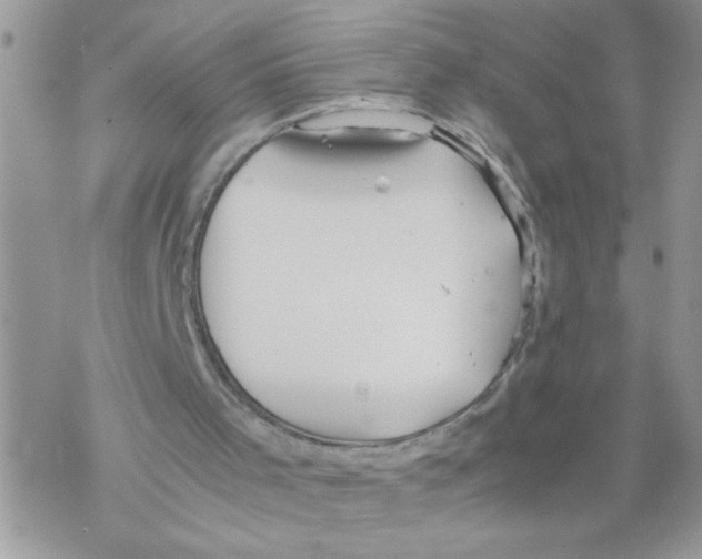 X0000069390001200606091728