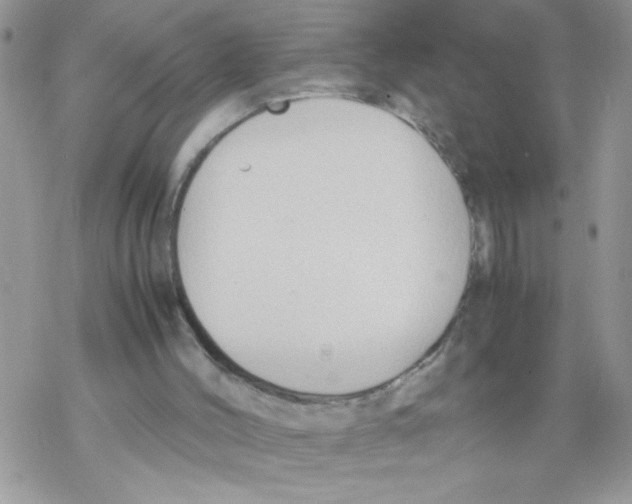 X0000069390004200606091728