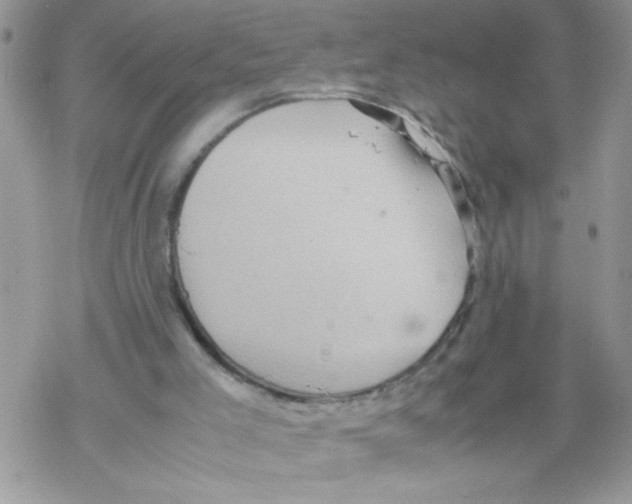 X0000069390005200606091728