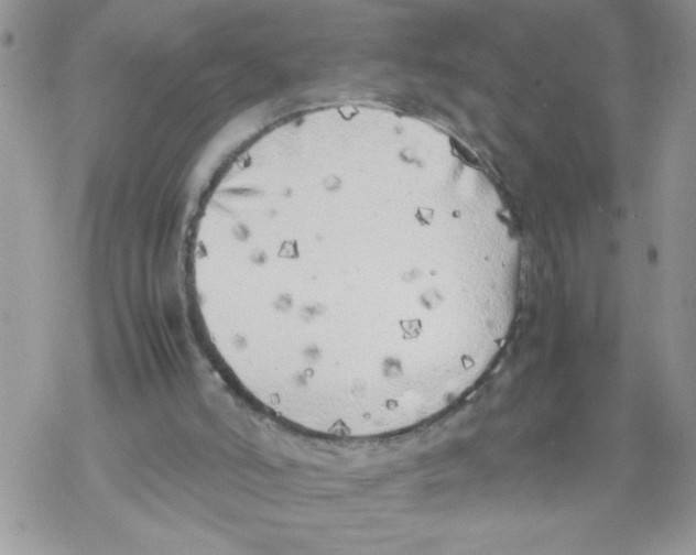 X0000069390006200606091728