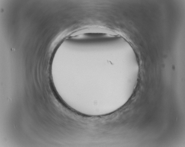 X0000069390007200606091728