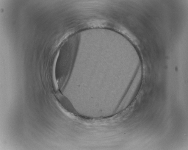 X0000069390009200606091728