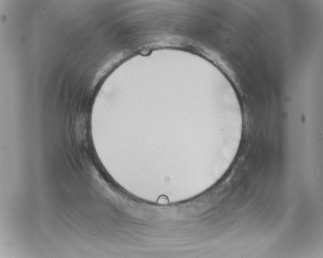 X0000069390010200606091728