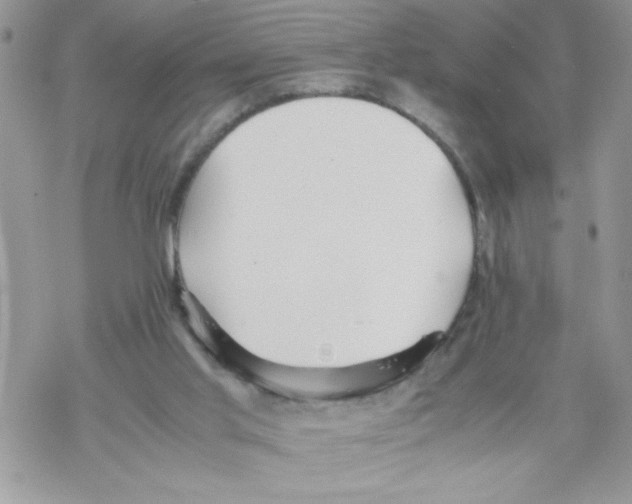 X0000069390013200606091728