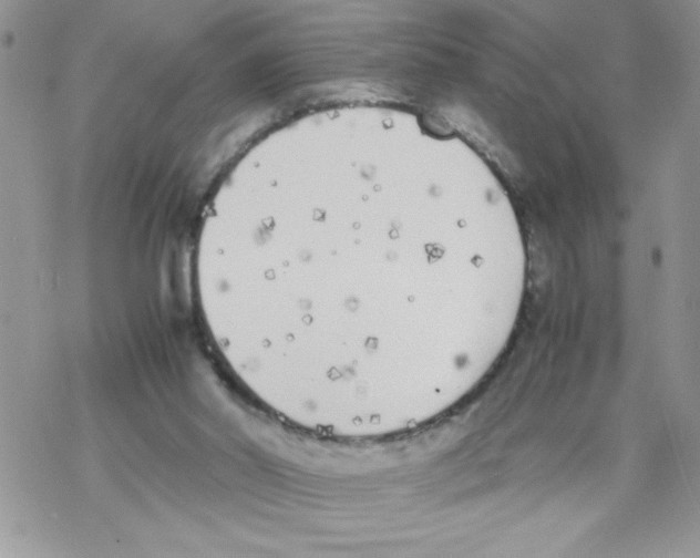 X0000069390014200606091728