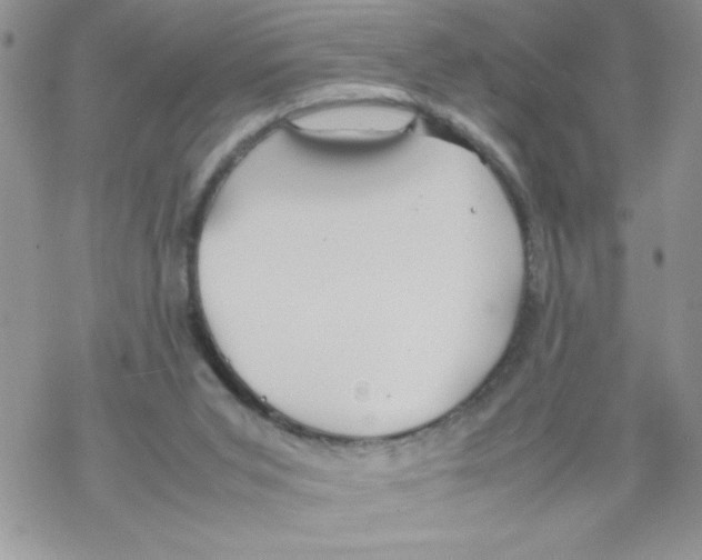 X0000069390015200606091728