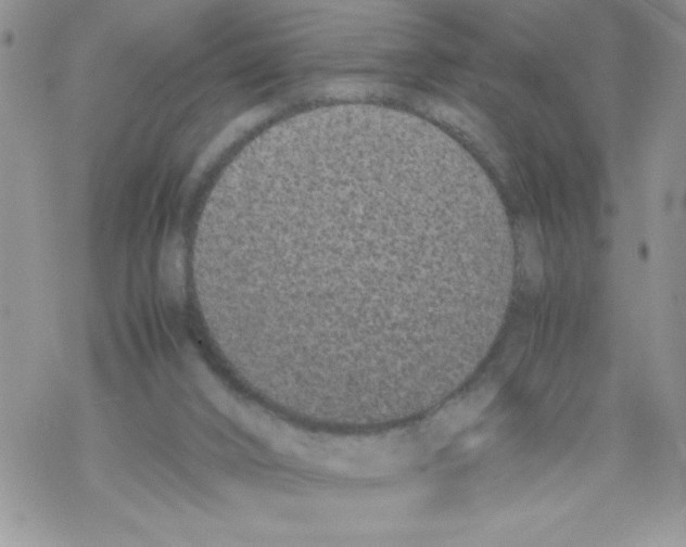 X0000069390016200606091728