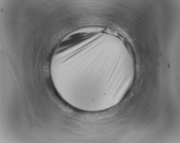 X0000069390017200606091728