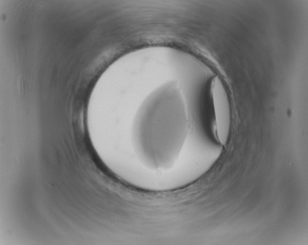 X0000069390019200606091728