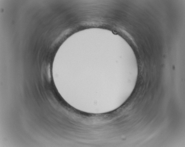 X0000069390020200606091728