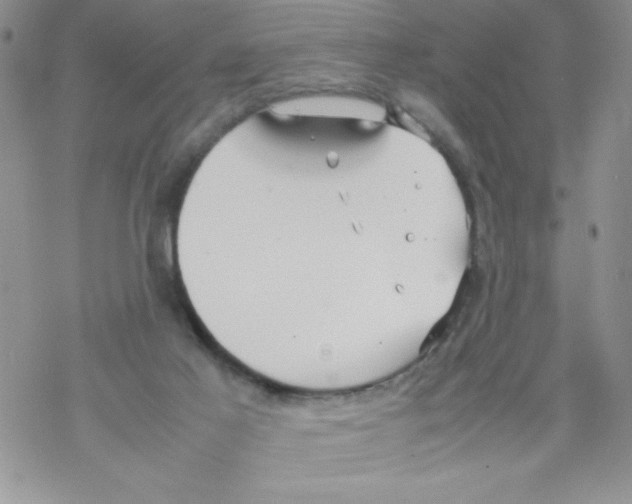 X0000069390021200606091728