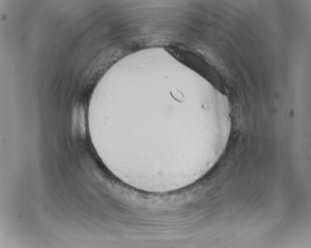 X0000069390022200606091728