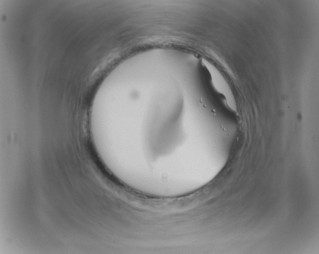 X0000069390023200606091728