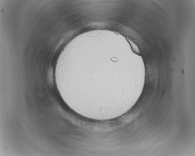 X0000069390024200606091728