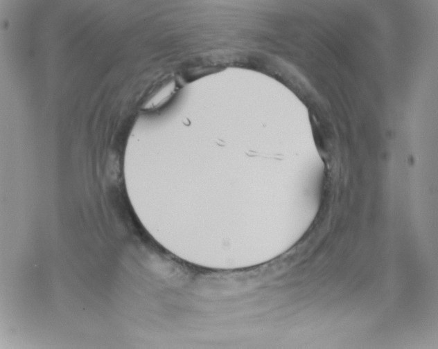 X0000069390025200606091728