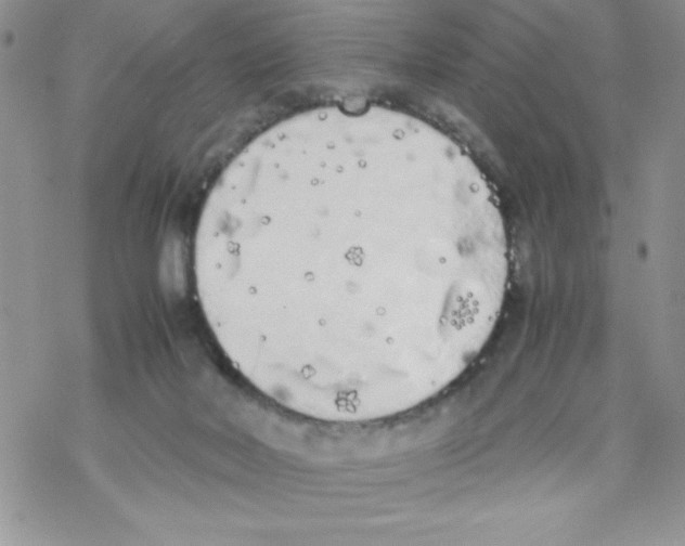 X0000069390026200606091728