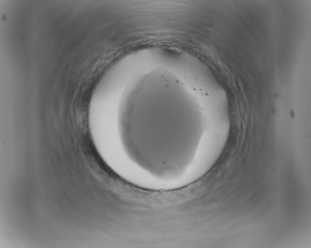 X0000069390031200606091728