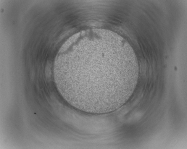 X0000069390032200606091728