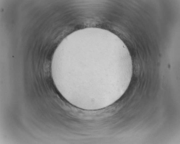 X0000069390034200606091728