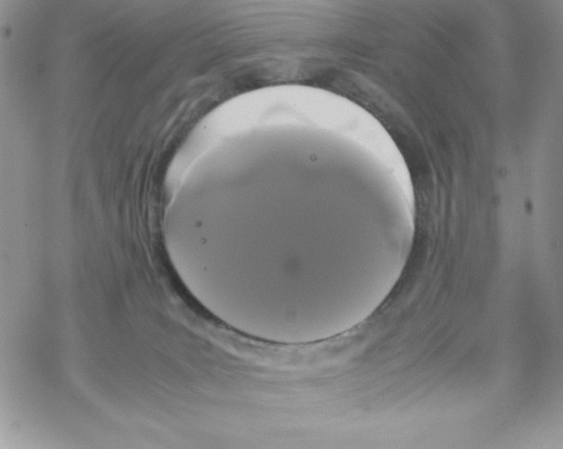 X0000069390035200606091728