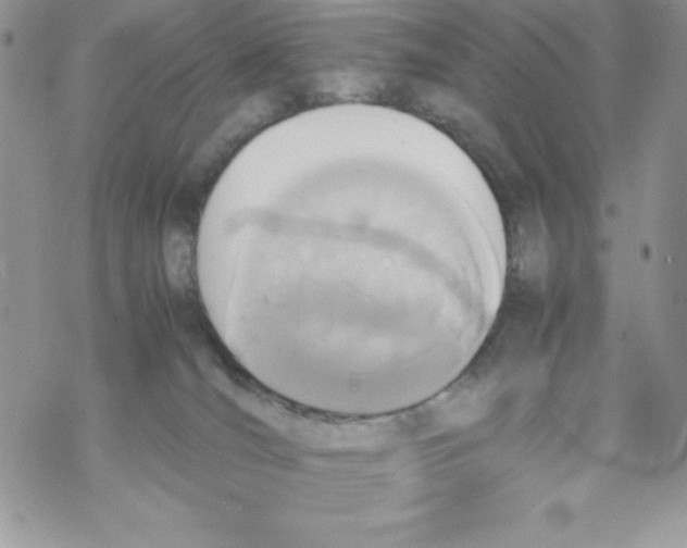 X0000069390036200606091728