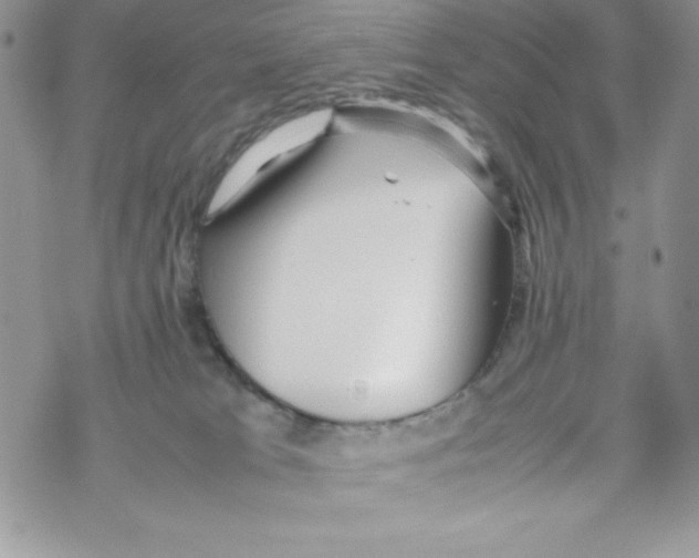 X0000069390037200606091728