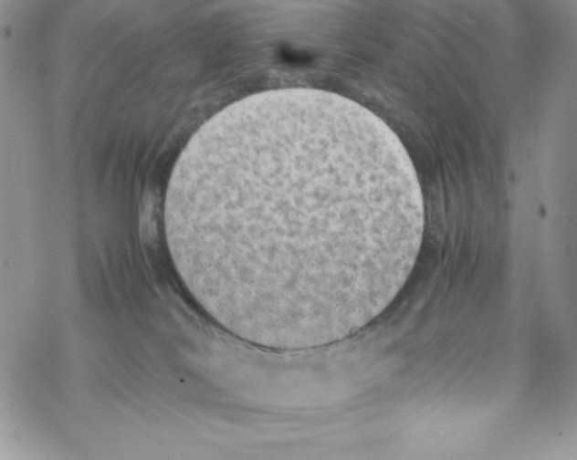 X0000069390038200606091727