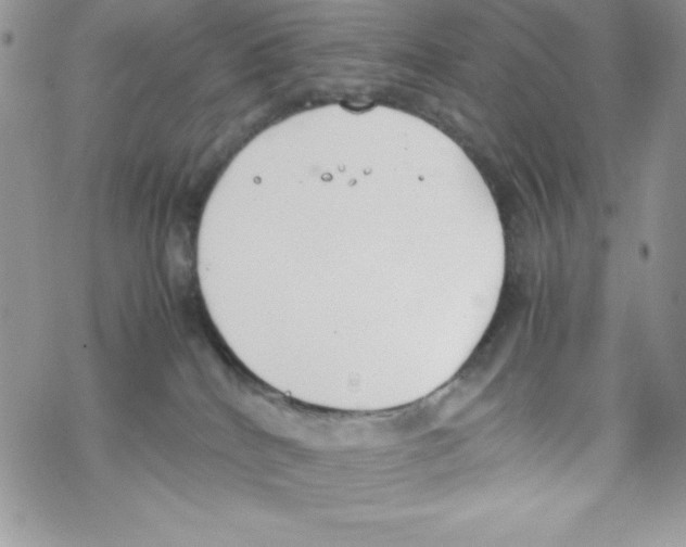 X0000069390040200606091727