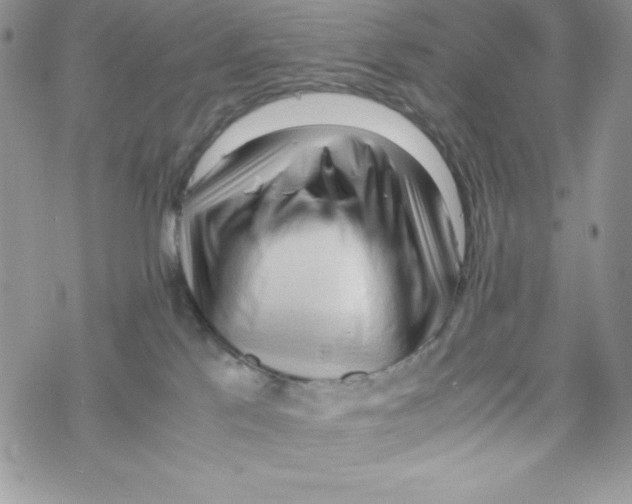 X0000069390041200606091727